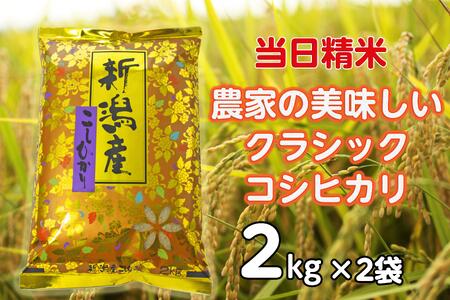 【令和6年産新米】 当日精算! 農家直送 美味しい クラシックコシヒカリ 2kg×2袋 計4kg 精米 白米 1F16013