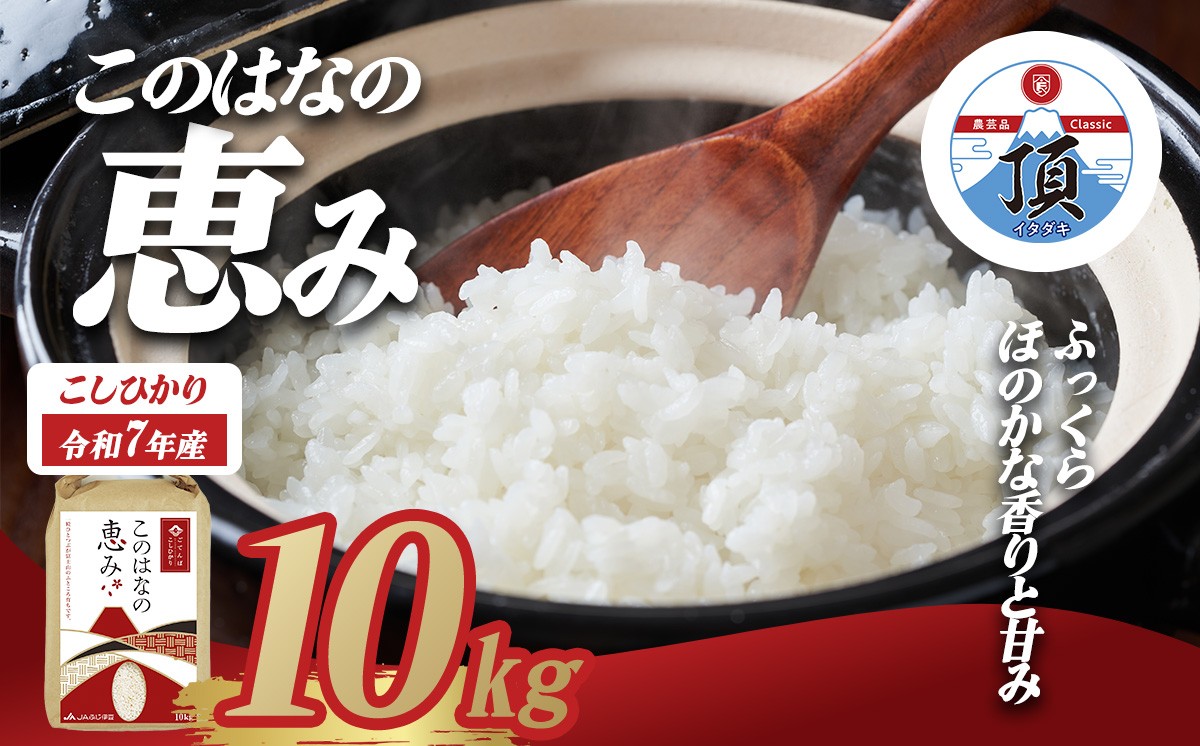 
                  令和7年度産 こしひかり「このはなの恵み」 10kg | 米 R7 こしひかり 精米 白米 お米 ブランド米 10kg こめ コメ エコ栽培米 静岡県 小山町
                