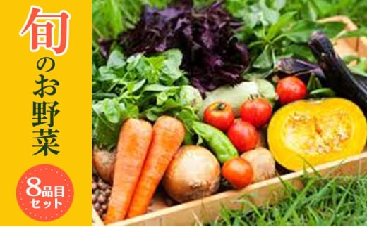 大阪泉州産旬のぎゅうぎゅう野菜セット [№5385-1156]