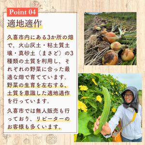 旬の野菜セット 5品目 特別栽培 採れたて 野菜