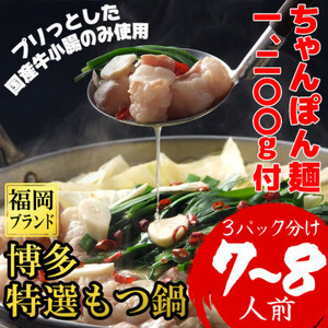 ちゃんぽん麺1200g付博多特選もつ鍋7～8人前(プリプリの国産牛小腸のみ使用)(3パック小分け)　_肉 もつ鍋 牛肉 鍋 鍋セット  惣菜・加工品 肉 鍋 なべ ナベ_【配送不可地域：離島】【1478185】