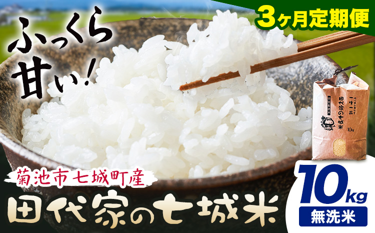 【3ヶ月定期便】令和7年産 菊池市七城町産 田代家の七城米 七城ヒノヒカリ 無洗米 10kg 田代こめや《お申込み翌月から出荷》熊本県 菊池市 米 お米 精米 ひのひかり 菊池市産 熊本県産 九州産 送料無料