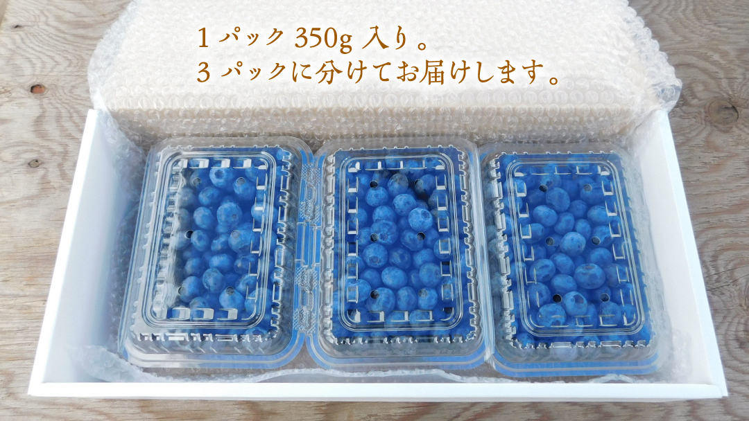 【 訳あり 】 朝採れ 完熟 ブルーベリー 1050g ( 350g × 3パック ) ぶるーべりー フルーツ 果物 くだもの 新鮮 ベリー 小分け 朝どり 国産 生
