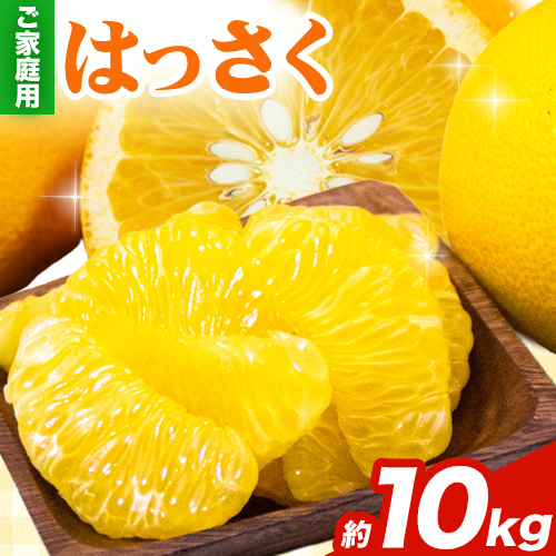 ＜1月より発送＞ご家庭用 訳あり はっさく 八朔 みかん 10kg +250g 池田鹿蔵農園 日高町《1月上旬-3月末頃出荷》和歌山県 日高町 送料無料 はっさくみかん 八朔 訳ありはっさく【配送不可地域あり】