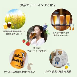 弥彦村の味わいアソートセットA 成沢商店の銘菓｢カレー豆｣とクラフトビール3種飲み比べ | セット品