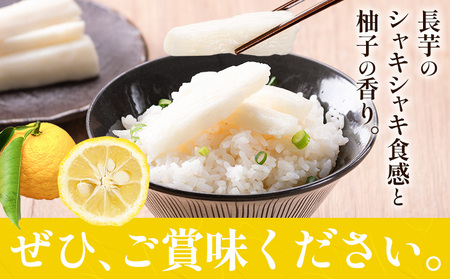 長芋のゆず漬け 3つセット 計900g (300g×3袋) 株式会社FF工房《30営業日以内に順次出荷》北海道 浦幌町 ギフト 贈り物 ご飯のお供 つけもの 漬けもの 長芋 ゆず 柚子 お酒 酒 送料
