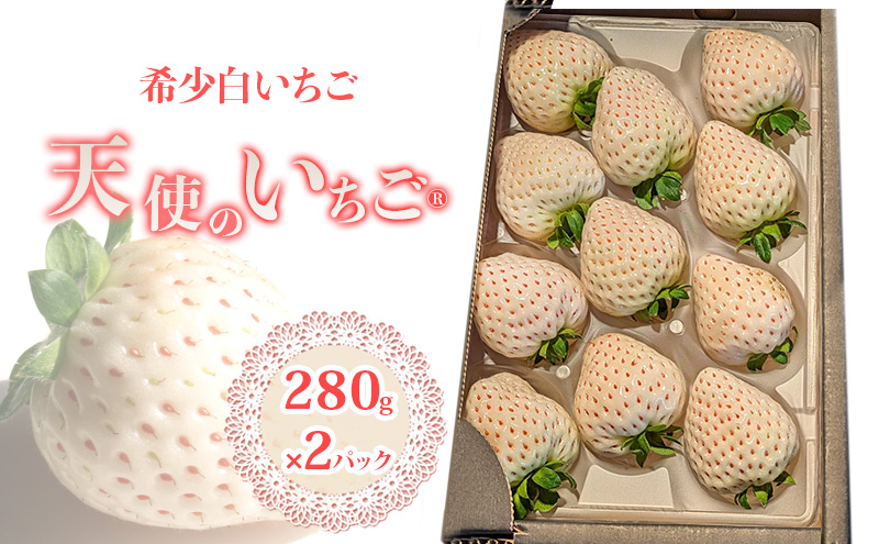 いちご 『先行予約』【2026年1月中旬以降お届け】 天使のいちご 白いちご 280g×2p 計2パック 560g フルーツ いちご 苺 イチゴ 果物 デザート 福岡県 小郡市 福田ファーム ※配送不可：沖縄、離島