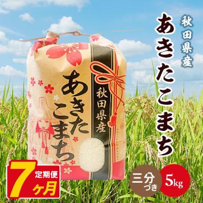 ふるさと納税 八郎潟町 【毎月定期便】あきたこまち 5kg【3分づき(精米)】 秋田県産全7回