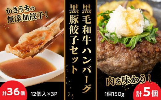 
071-08 黒毛和牛ハンバーグ・黒豚餃子セット
