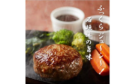 ハンバーグ 石垣牛 (100g×8個) 石垣牛ハンバーグ BCAZ002