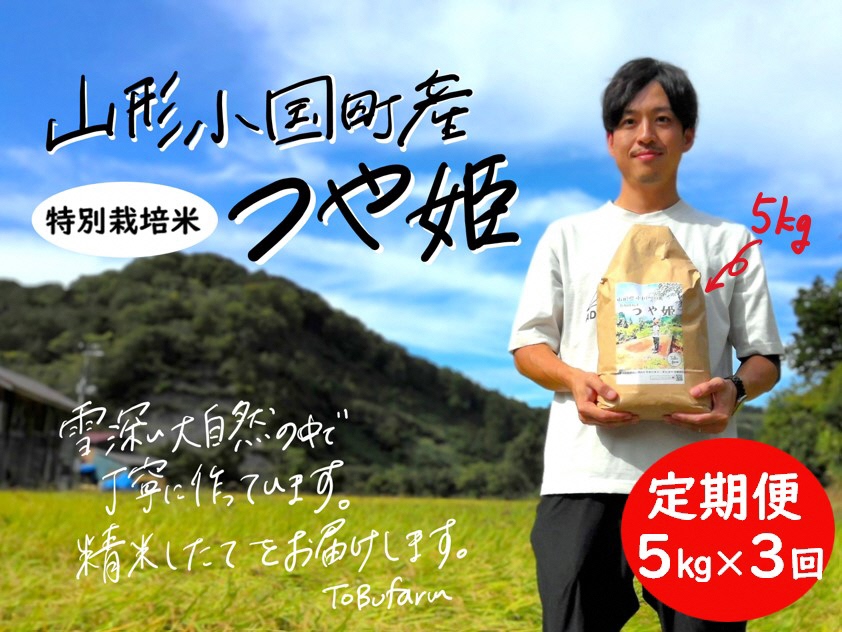 【3回定期便】山形県小国町産　特別栽培米　つや姫・5kg　計15kg