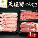 【ふるさと納税】 天姫豚 とんかつ セット 1kg国産 豚肉 ヒレカツ 肩 ロース 厚切り 旨み 柔らかい 200g 600g 冷凍 米飼料 ご家庭用 お取り寄せ グルメ 食品 送料無料 なごみ農産 【 山形県 天童市 】