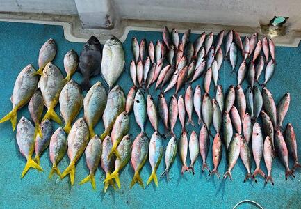 成香丸釣り体験補助チケット(4,000円分)