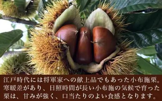 自家農園100％ 小布施栗マロンペースト＆熟成小布施栗詰め合わせ［ おぶせファーマーズ ］ マロンペースト 栗 くり クリ 和栗 栗あん スイーツ お菓子 長野県 信州 小布施町 お取り寄せ［FH-8