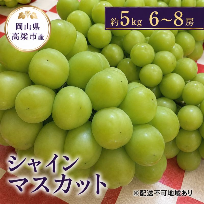 シャインマスカット 約5kg 6～8房 葡萄 フルーツ 岡山 高梁市産 こあに葡萄園 2026年 先行予約 果物類 ぶどう ブドウ 