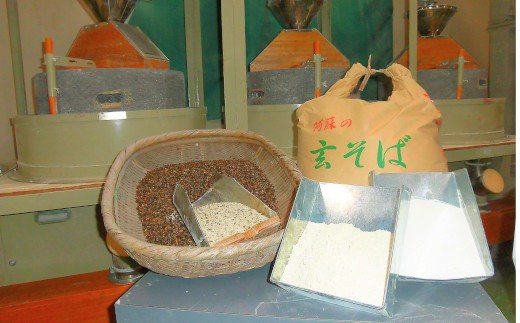 自然豊かな南阿蘇の粗挽きそば10袋(20人前)つゆ20食付き