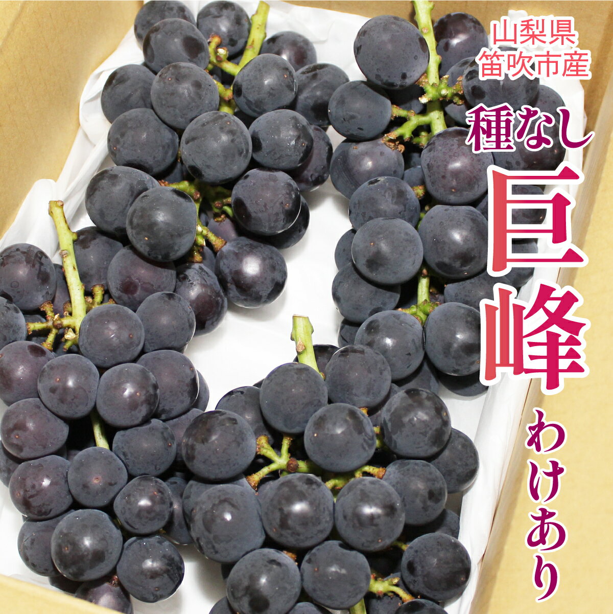 【ふるさと納税】山梨県笛吹市産わけあり巨峰（たねなし） ふるさと納税 巨峰 わけあり 訳アリ 笛吹市 国産 人気 期間限定 ぶどう ブドウ 葡萄 旬 果物 フルーツ 山梨県 送料無料 090-018