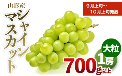 厳選シャインマスカット 秀品 700g以上 1房 化粧箱入[前半] 【令和6年産先行予約】FU20-107