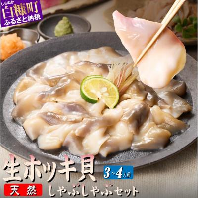 ふるさと納税 白糠町 天然 生 ホッキ貝 しゃぶしゃぶ セット 3〜4人前