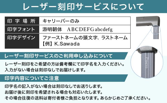 スーツケース [PROEVO-AVANT] フロントオープン スーツケース 機内持ち込み対応 ストッパー付き S-MAX（スクラッチ/ガンメタリック） [10006S] 大木町 株式会社 レクサス A