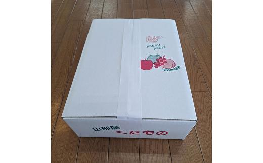 【令和6年産先行予約】 〈訳あり品 家庭用〉 ラ・フランス 