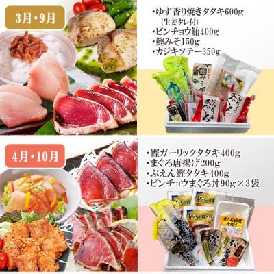 ふるさと納税 枕崎市 枕崎・お魚よりどり詰め合わせ定期便(6回配送)　FF-6005 |  | 02