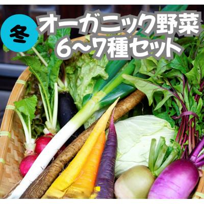 ふるさと納税 京丹後市 【先行予約】11月より順次発送《てんとうむしばたけ》冬のオーガニック野菜セット　有機野菜6〜7種前後