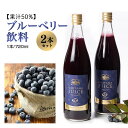 【ふるさと納税】果汁50％ブルーベリー飲料2本セット ブルーベリー ブルーベリー飲料 フルーツ 果物 フルーツジュース ジュース ビタミンE アントシアニン 栄養 目にいい 健康 美容 瞳の健康 ギフト 贈り物 茨城県産 人気 プレゼント セット ドリンク 9－L