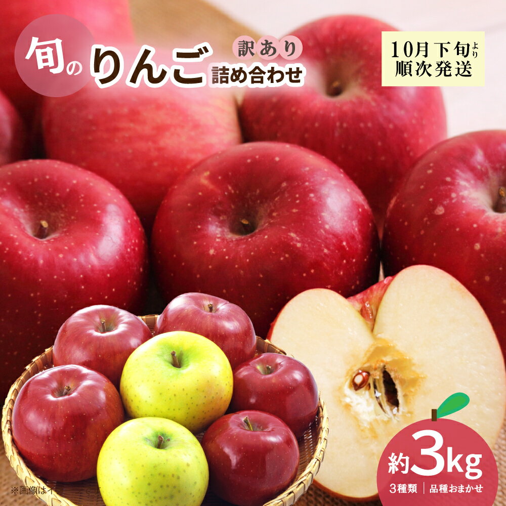 【ふるさと納税】新地町産 りんご 詰め合わせ 訳あり 約3kg 1箱 | 果物 くだもの リンゴ フルーツ 旬 産地直送 農家直送 食品 人気 おすすめ 送料無料 お取り寄せ 福島県 新地町 訳アリ わけあり 葉とらず