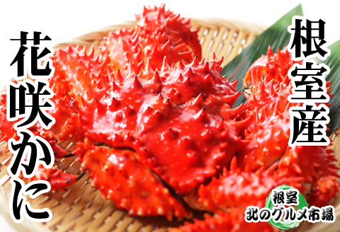 【北海道根室産】花咲かに400g前後～550g前後×3尾 A-76032