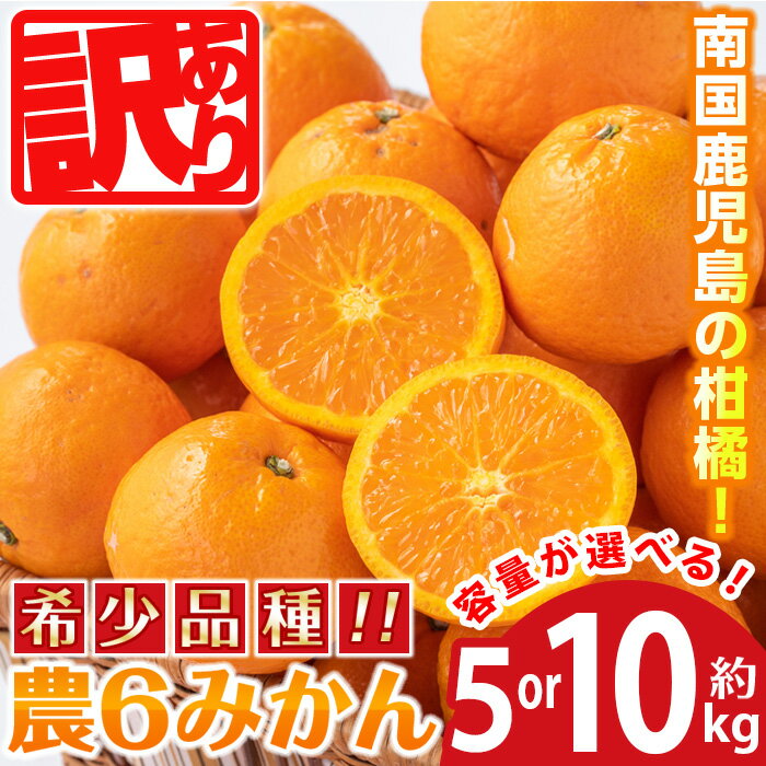 【ふるさと納税】＜2026年3月下旬～6月中旬の間に発送予定＞《傷ありのため訳あり》農6みかん(約5kg or 約10kg) 果物 フルーツ 柑橘 国産 鹿児島県産 みかん 蜜柑【江崎果樹園】