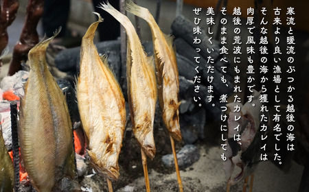 【出雲崎名物】磯田鮮魚店の「浜焼きかれい」1束3本入 出雲崎町 カレイ 串焼き 焼き魚 新潟県 出雲崎町