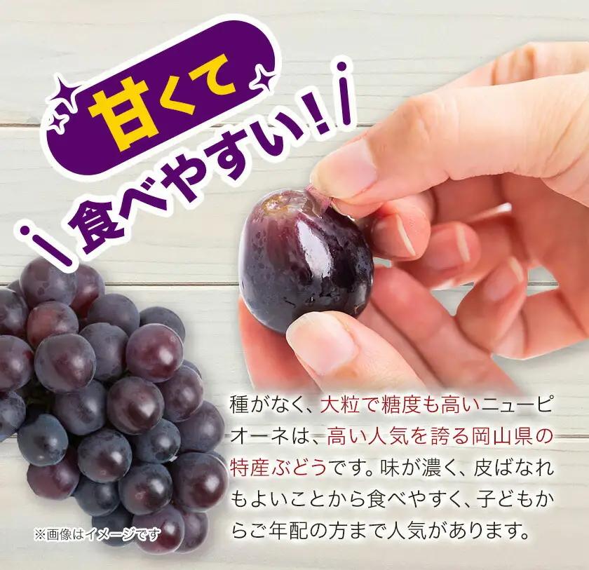 岡山県産 ご家庭用 ニューピオーネ 2～3房 約1.2kg【配送不可地域：離島】