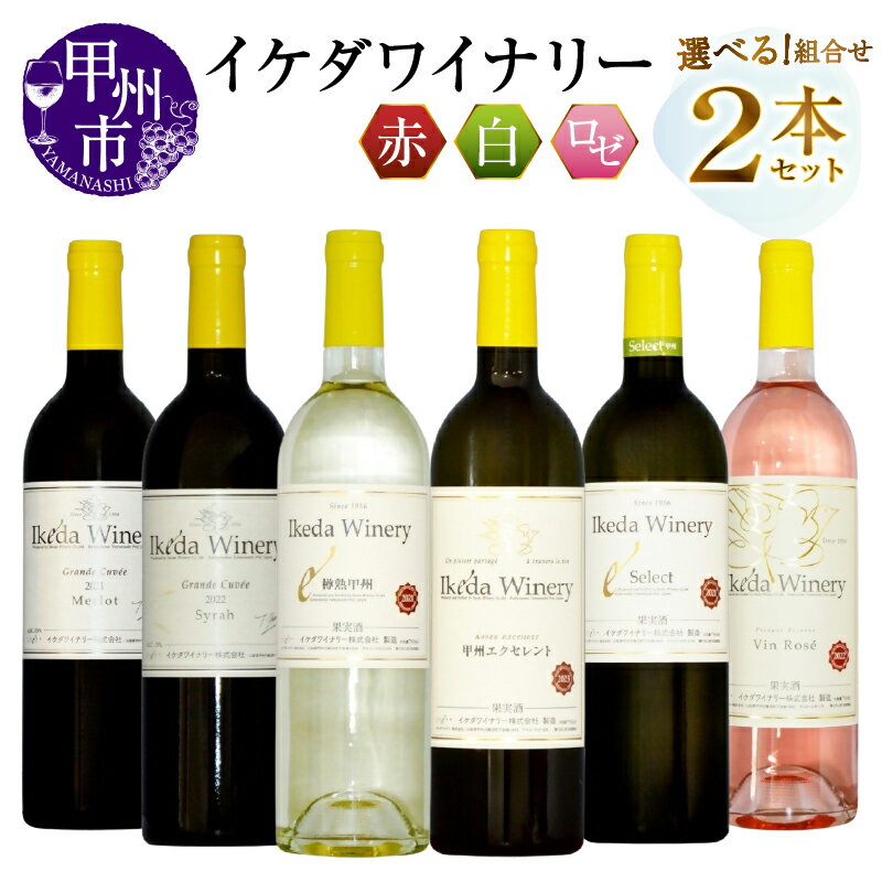 【ふるさと納税】 ワイン 白 赤 ロゼ 選べる お届け内容 組合せ 2本 セット 750ml イケダワイナリー グラン・キュヴェ メルロー シラー セレクト白 ヴァン・ロゼ 樽熟甲州 甲州エクセレント 母の日 父の日 記念日 ギフト 贈答 プレゼント 山梨県 甲州市 （MG）