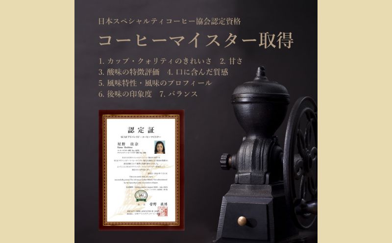 ＜定期便＞6回プラン ドリップバッグ おまかせ３種セット [2か月に1回、計6回発送]　珈琲　コーヒー　定期便　ドリップバッグ　水出しコーヒー　おまかせ　お楽しみ　こだわり 6回プラン ドリップバッグ