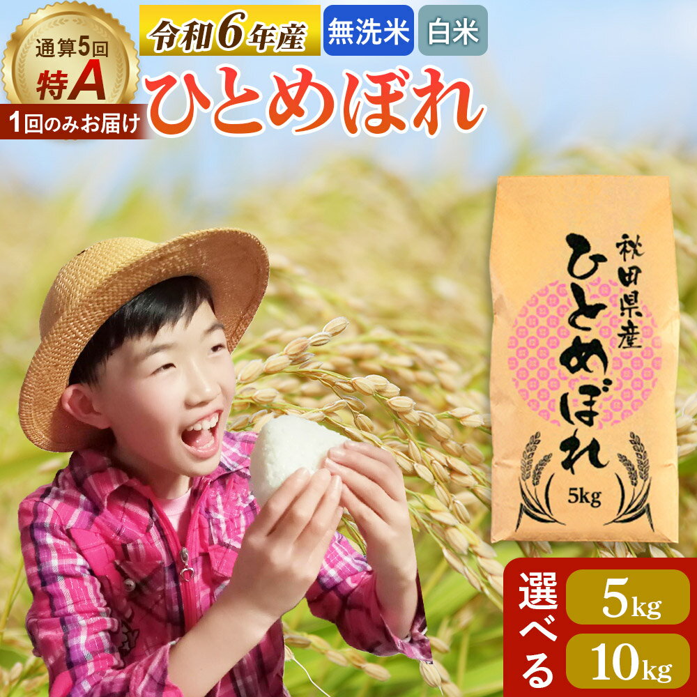 【ふるさと納税】《1回のみお届け》令和6年産 【白米／無洗米】【選べる容量 5kg／10kg（5kg×2袋）】通算5回特A 秋田県産ひとめぼれ