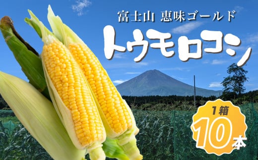 【先行予約】富士山 恵味ゴールド トウモロコシ　10本