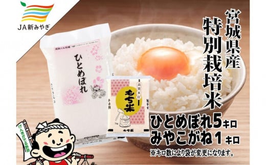 
            元気くん市場  宮城の美味しいお米・もち米セット
          