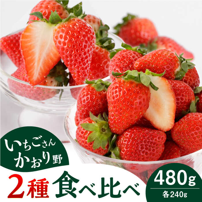 【ふるさと納税】【先行予約 2027年1月〜発送】【農家直送】 赤いちご 食べ比べ！かおり野＆いちごさん 各240g 詰め合わせ セット（計480g）【StrawberryFarm-K】 イチゴ 苺 赤いちご フルーツ 果物 佐賀県 白石町 白石 [IBJ006]