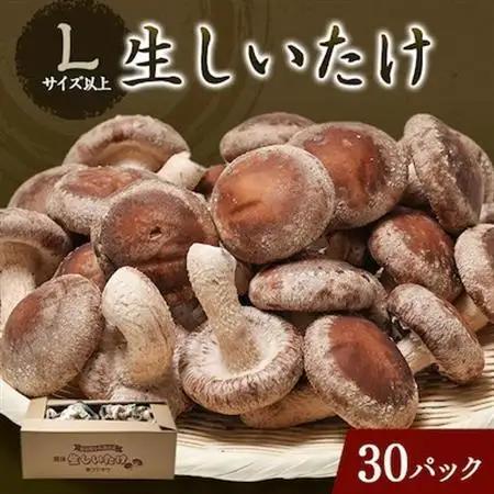 生しいたけ(パック)30P箱入り【配送不可地域：離島】【1288314】