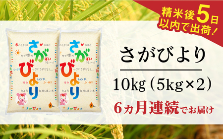【全6回定期便】令和6年産 さがびより 白米 計60kg（5kg×2袋×6回） / 佐賀県 / 株式会社森光商店 [41ACBW033]