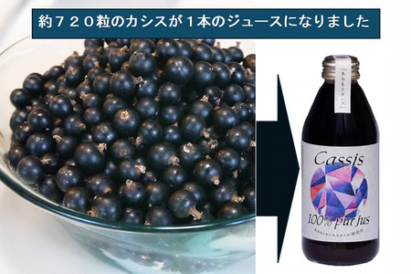 カシス果汁100％ジュース（無加糖・無添加）　250ml×2本