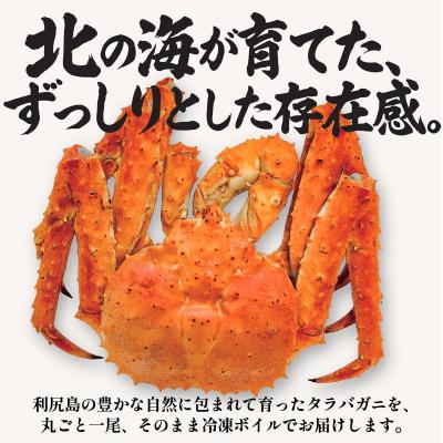 ふるさと納税 利尻町 北海道利尻島産 タラバガニ 丸ごと1尾 3.6kg以上 冷凍ボイル[1110009] |  | 01