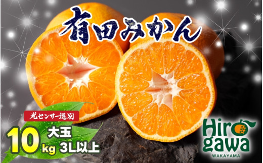 有田 みかん 大玉3L以上 10kg 光センサー / 温州みかん 有田みかん 甘い 和歌山 柑橘 ※2026年11月中旬～12月下旬に順次発送 ※北海道・沖縄・離島地域は発送不可 【nuk004-l-10C】