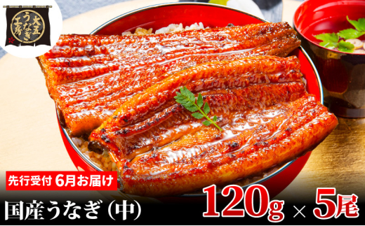 [№5695-1888]先行受付 【6月上旬配送】 うなぎ蒲焼 120g×5尾(600g) うなぎ 鰻 蒲焼 蒲焼き 大五通商 静岡 島田市