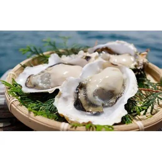 牡蠣 冷凍かき 2.4kg 以上 産地直送 牡蠣 A159