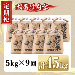 【F7069】＜令和7年産 先行予約！＞《定期便・全9回》田舎塾特別栽培米「がんこ米ゆめぴりか」(5kg×9回・計45kg) 【2025年10月中旬以降順次発送】 米 お米 白米 北海道産 北海道米 
