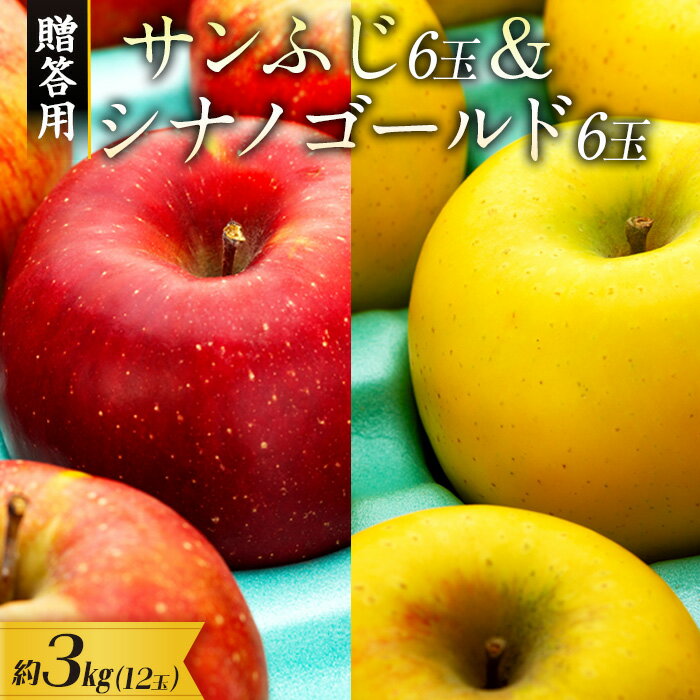 【ふるさと納税】贈答用りんご サンふじ シナノゴールド 約3kg 12玉 (各6玉) りんご リンゴ 林檎 信州りんご 信濃ゴールド 果物 フルーツ 旬の果物 旬のフルーツ デザート 贈答用 ギフト 贈り物 プレゼント 長野 長野県 箕輪町　お届け：2025年11月中旬～12月下旬