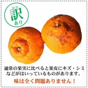 【訳あり】不知火(しらぬい・しらぬひ)　 約5kg (小玉中心) 【デコポンと同品種】【配送不可地域：離島・北海道・沖縄県】【1484259】