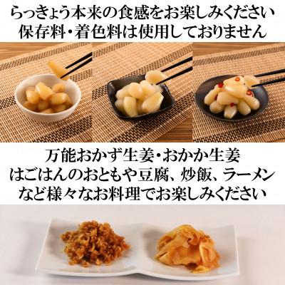 ふるさと納税 三股町 純国産らっきょう3種としょうが2種詰め合わせ各2袋合計10袋【MI723】 |  | 01